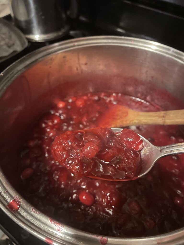Homemade Cranberry Sauce!!!